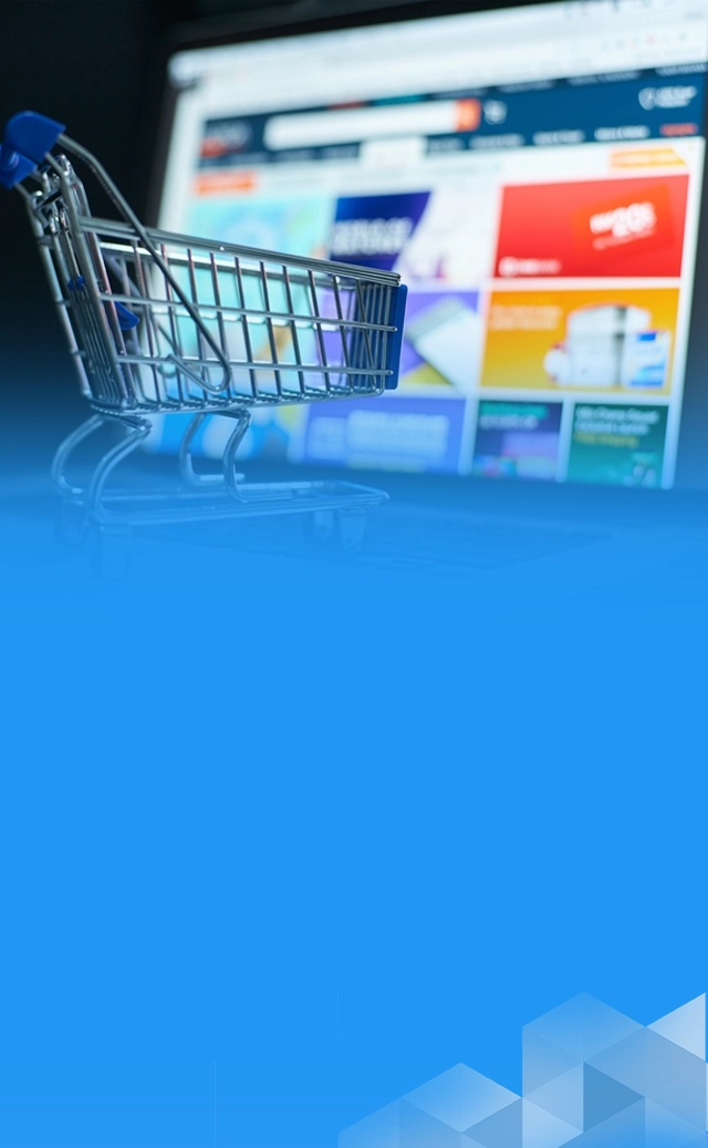 e-Commerce Website InterVision Service 3